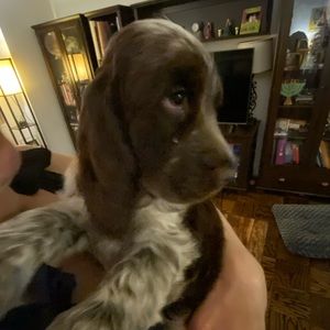 Meet your Posher, Lucie